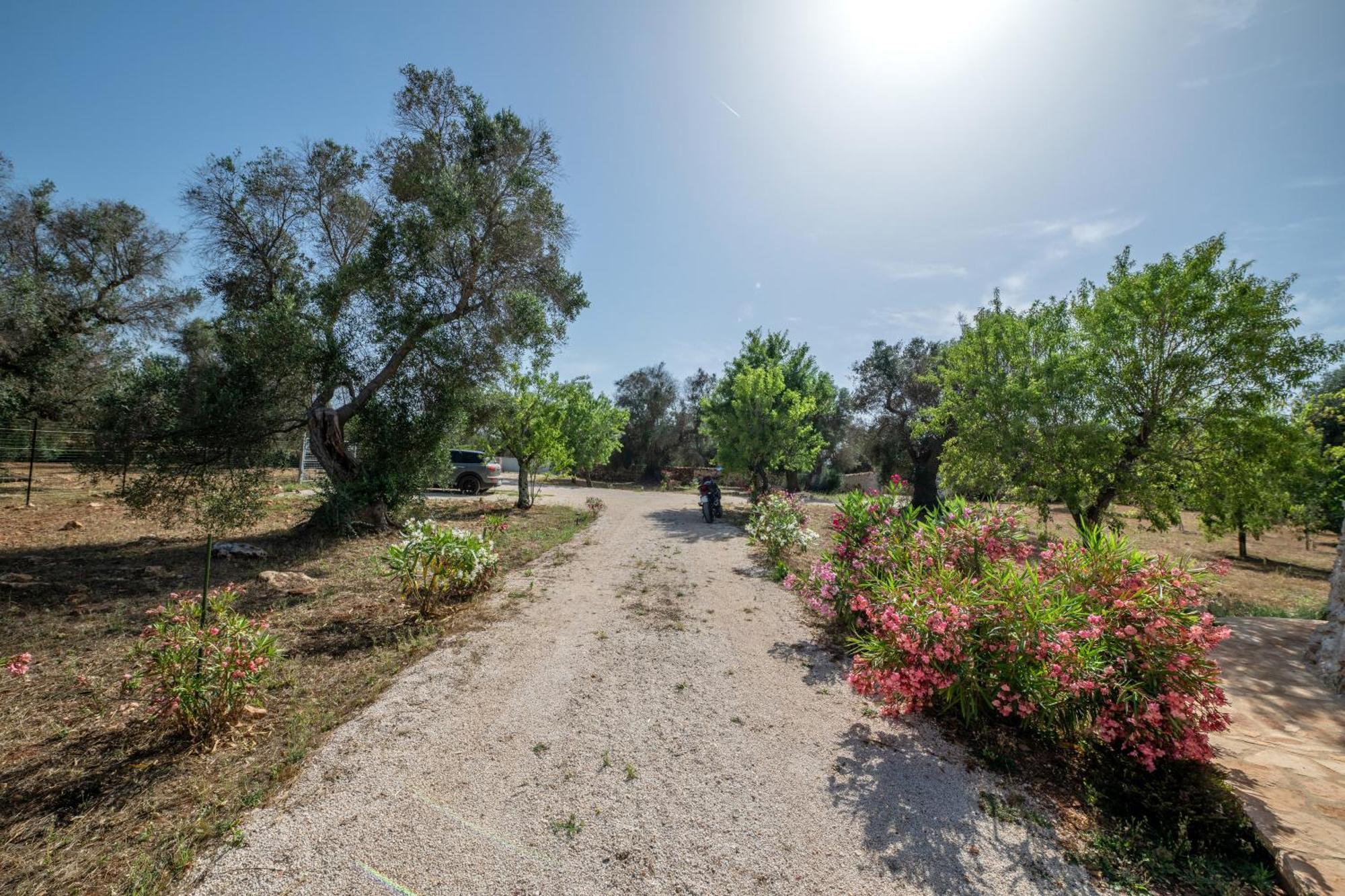 Il Trullo Di Mariangela Villa Ceglie Messapica Dış mekan fotoğraf